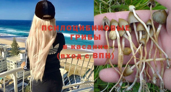 spice Алзамай