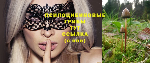 спайс Алексин